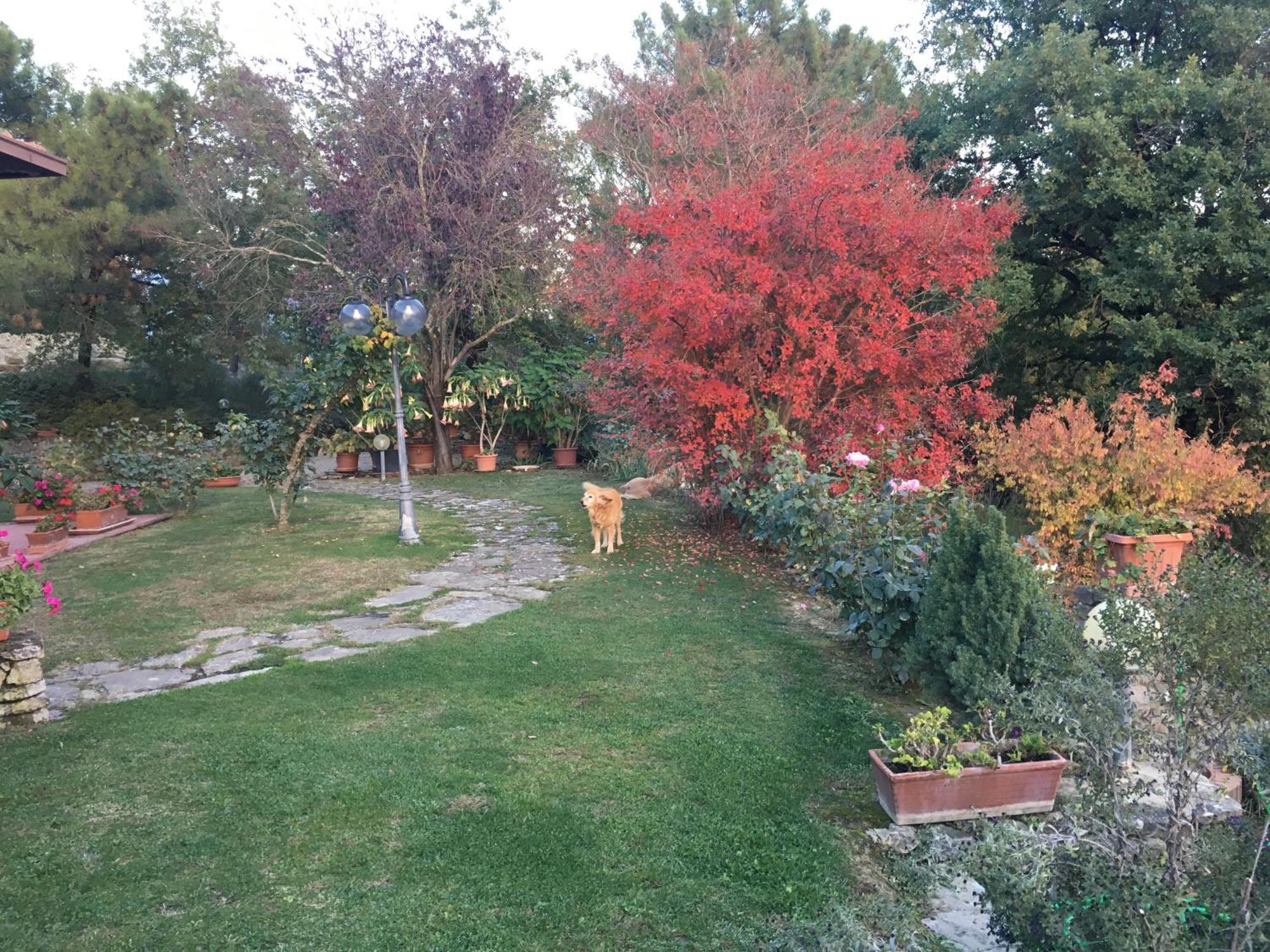 维拉斯皮诺住宿加早餐旅馆 卡波罗纳 外观 照片